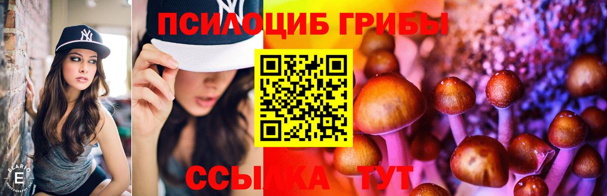 Галлюциногенные грибы Cubensis Черногорск